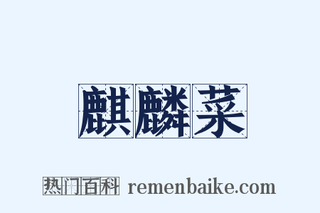 麒麟菜是什么意思的图片